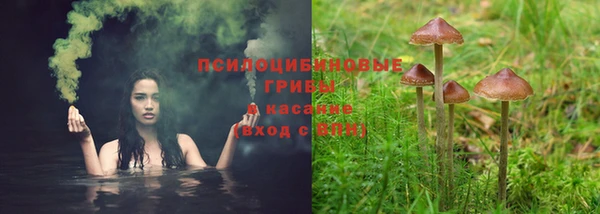 соль ск Абаза
