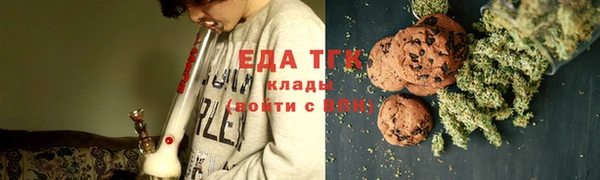шишки Снежногорск