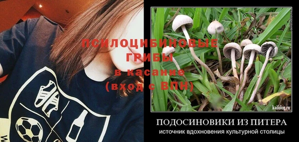 2c-b Абинск