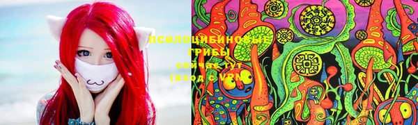 apvp Слюдянка