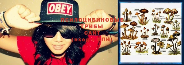 стаф Абдулино