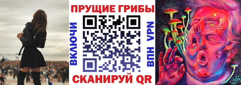 Галлюциногенные грибы Psilocybe  кракен ССЫЛКА  Лебедянь  цены  